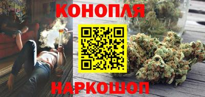 СК Шелехов