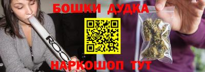 гашик Шебекино