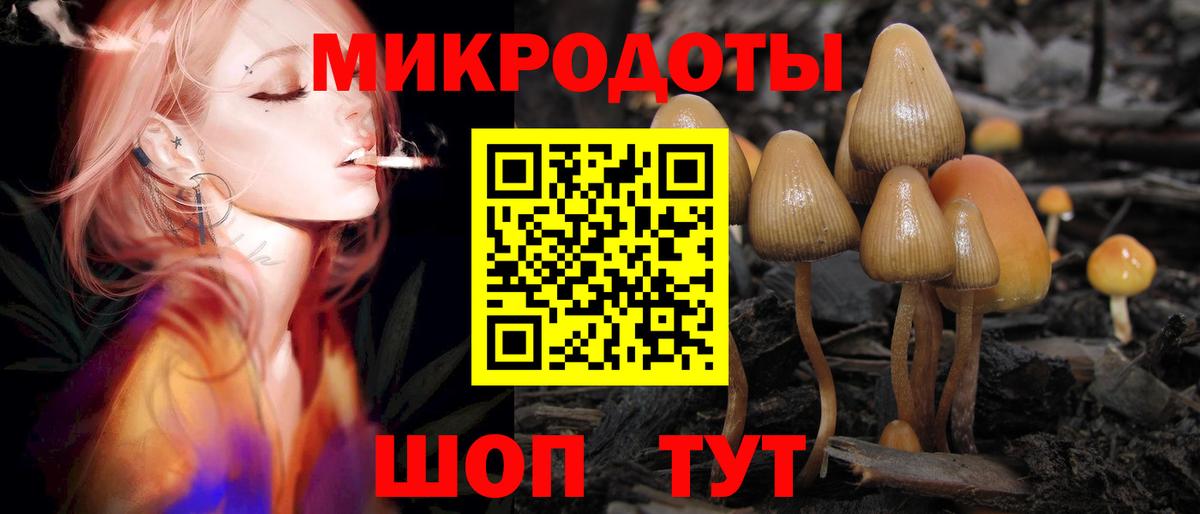 Псилоцибиновые грибы Cubensis  Псилоцибиновые грибы Psilocybe  Вход с VPN  Александров 
