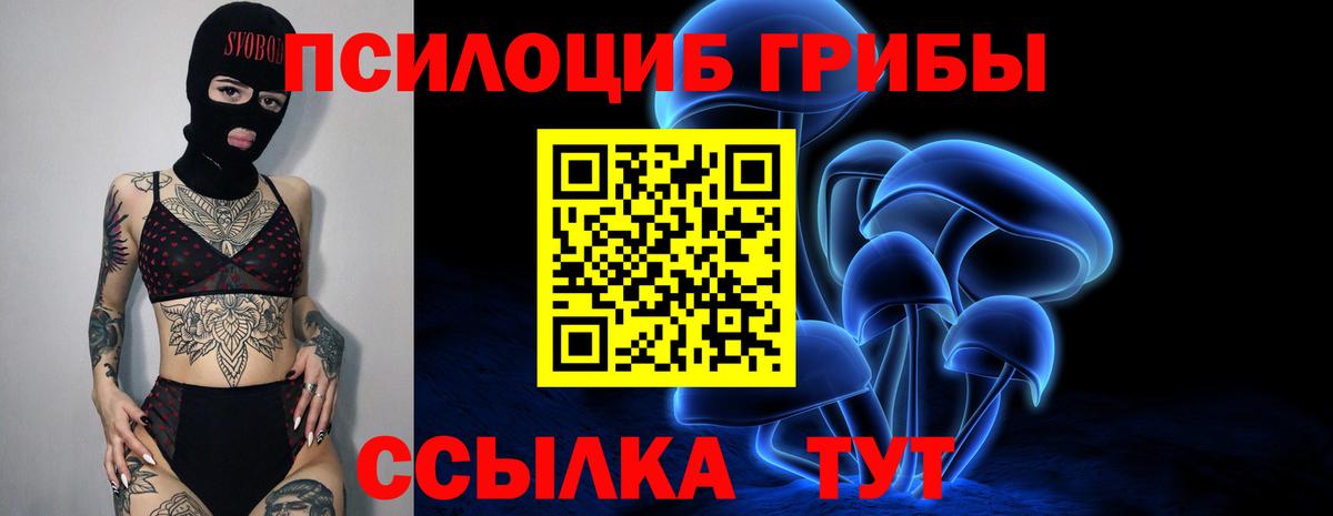 Галлюциногенные грибы ЛСД Александров
